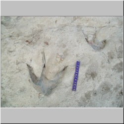 100_0343 (2009-25-07)m.jpg